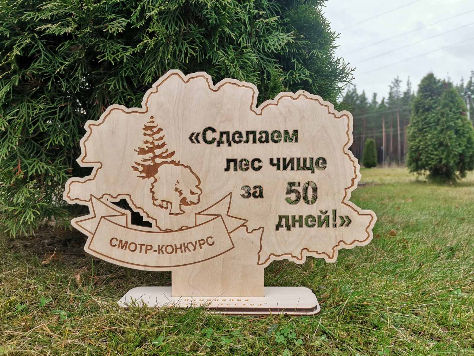 Определены лучшие