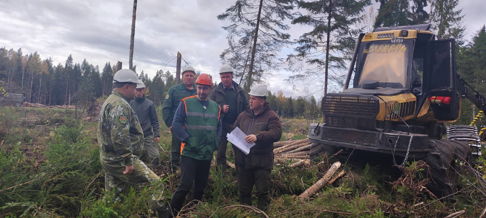 Разработка буреломов на контроле