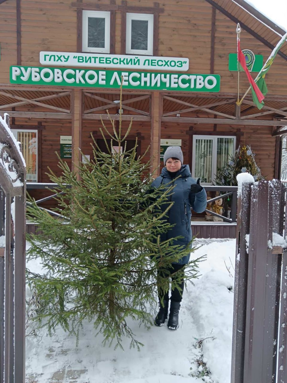 Сегодня в лесхозах и лесничествах Витебской области начали работу  елочные базары