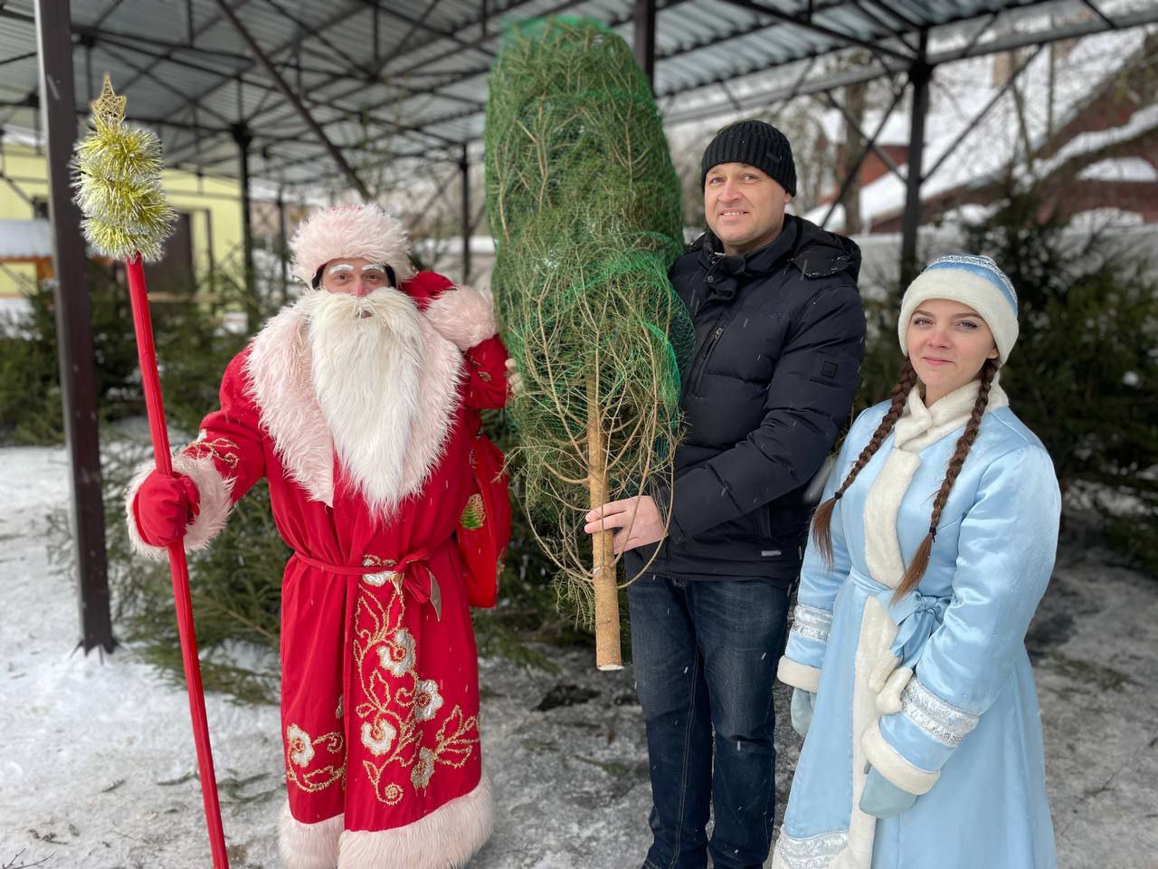 Пора за новогодней хвоей!