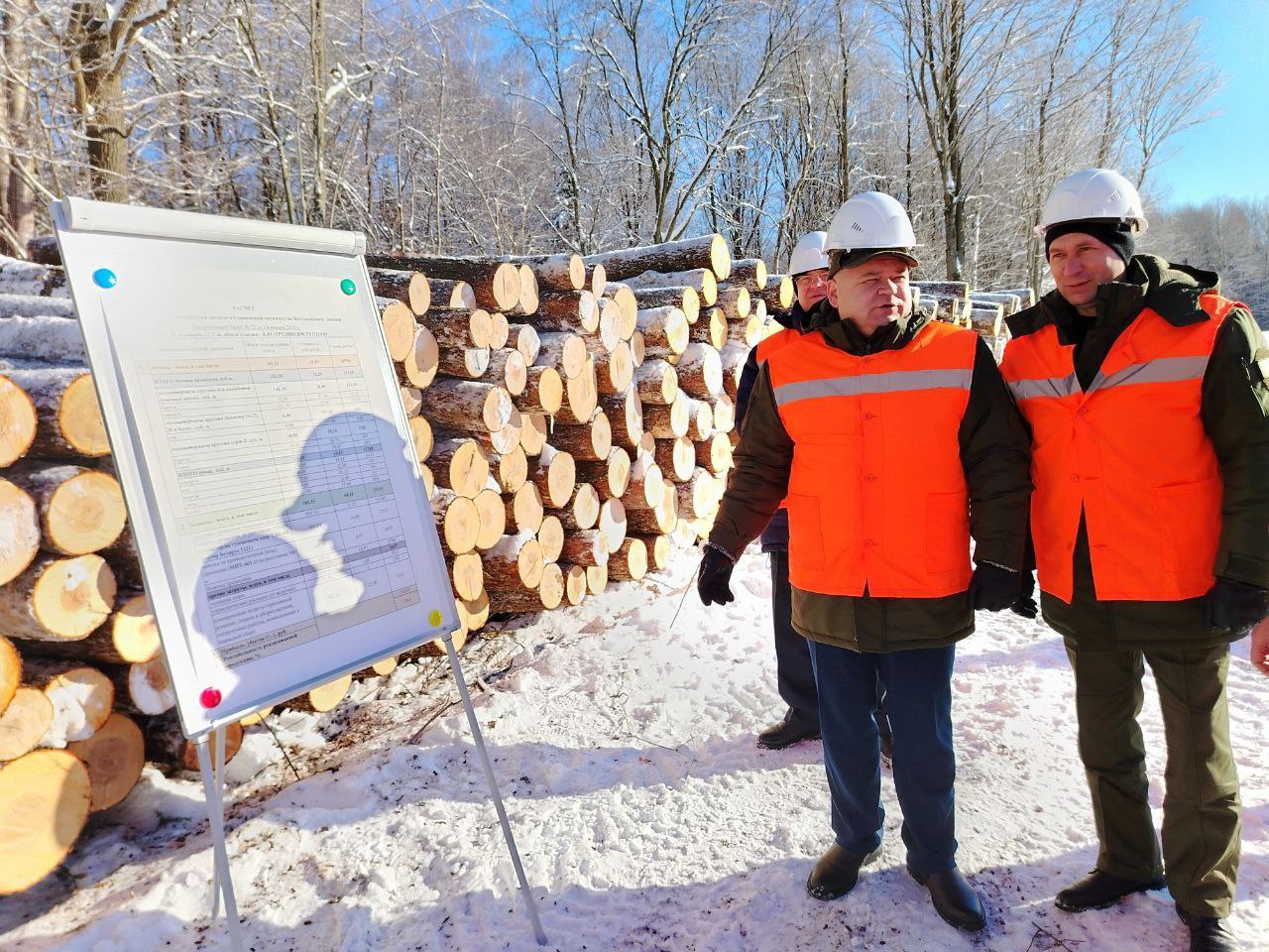 На базе Богушевского лесхоза прошел семинар-совещание по теме «Организация заготовки фанерного сырья и выполнение госзаказа».