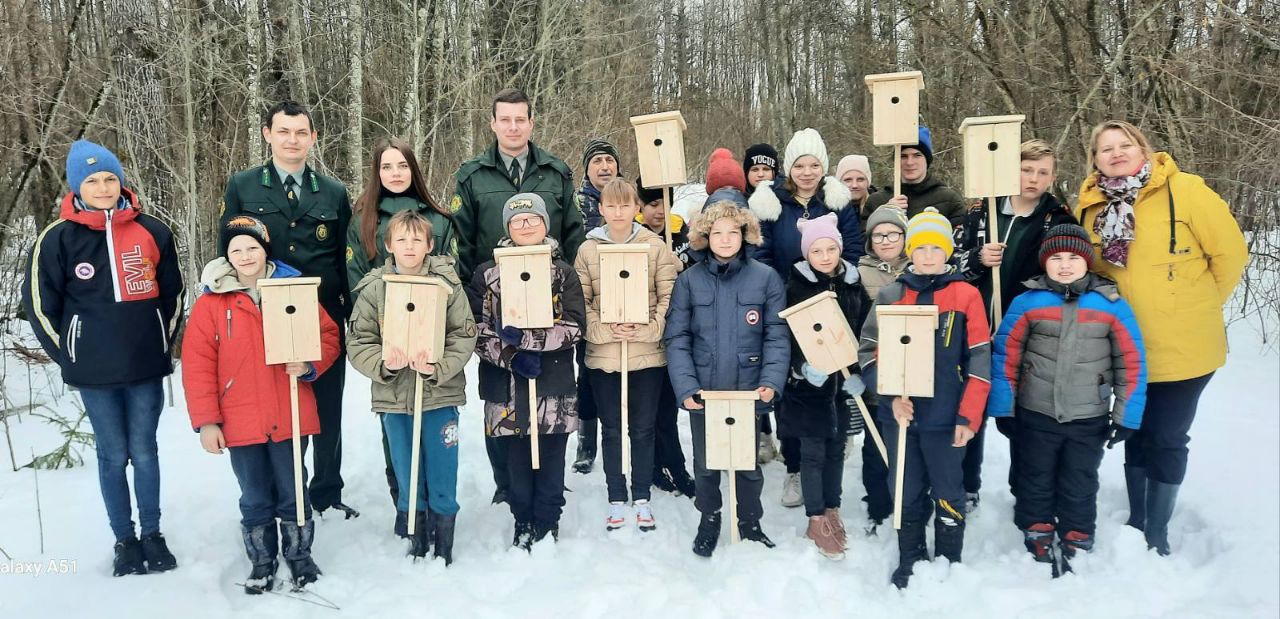 Дома для пернатых друзей!