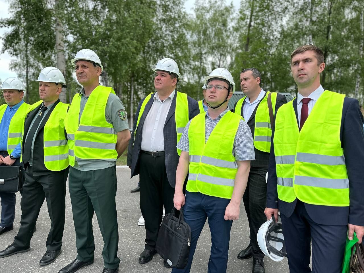 Лес ошибок не прощает