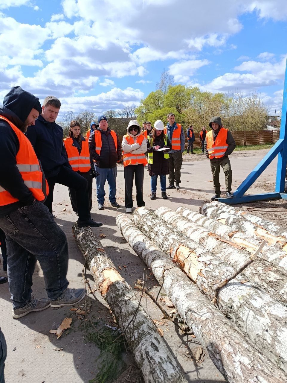 В фокусе - качество отгружаемых лесоматериалов 2026