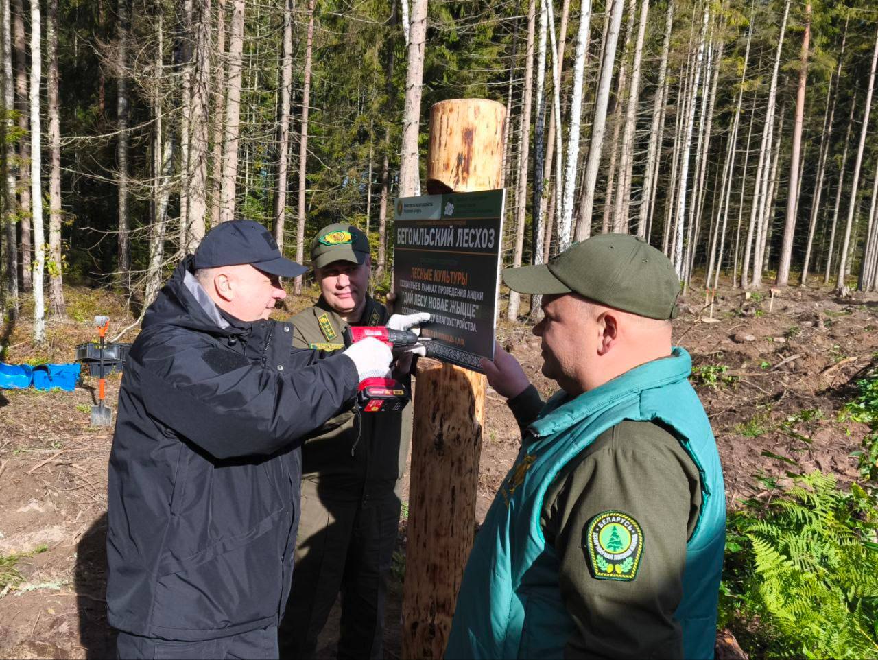 10 тысяч саженцев  станут лесом! 