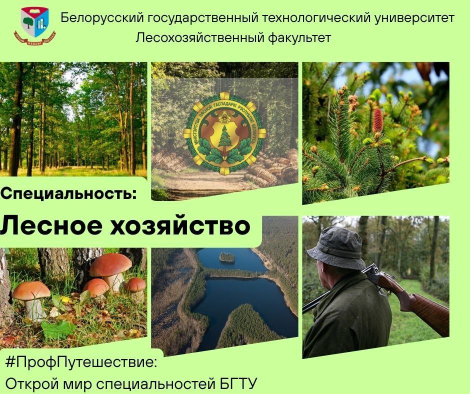 Специальность: Лесное хозяйство
