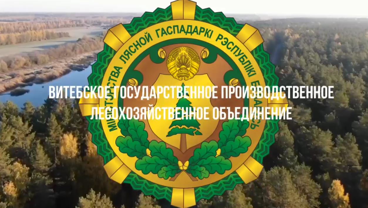 Призвание наше - леса делать чище и краше!