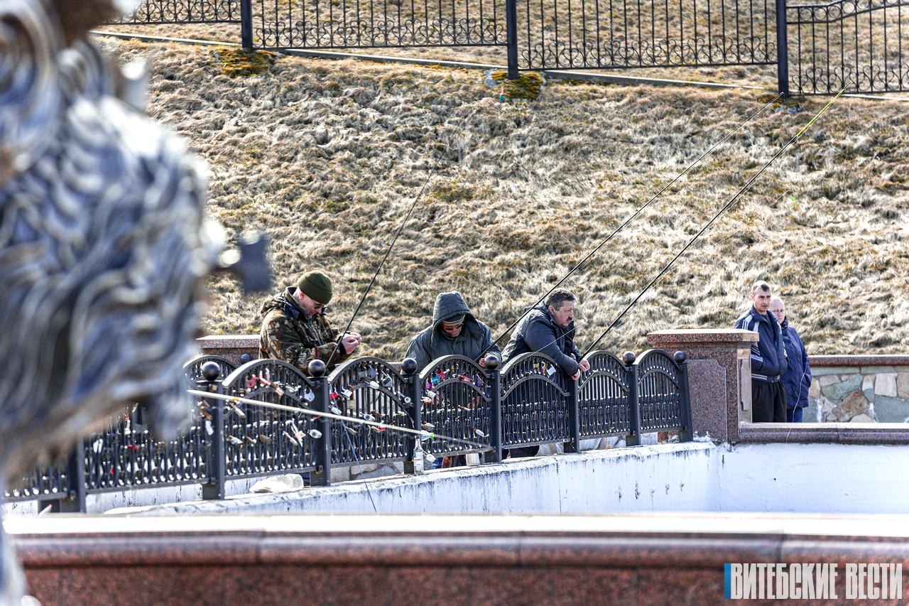 Внимание, рыболовы! С 10 апреля по 8 июня устанавливается запрет на лов всех видов рыбы