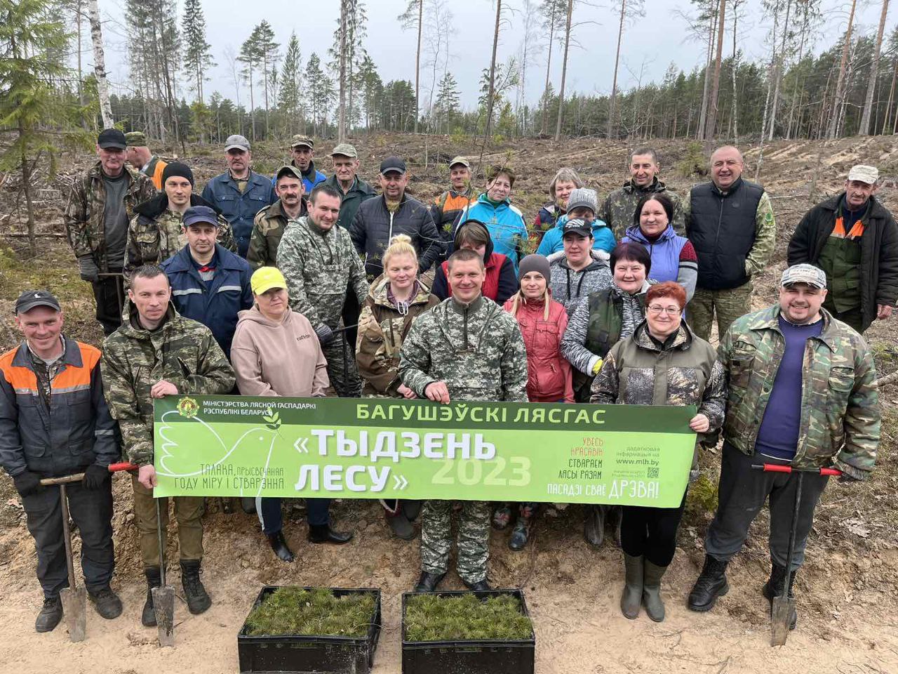 Время созидать!