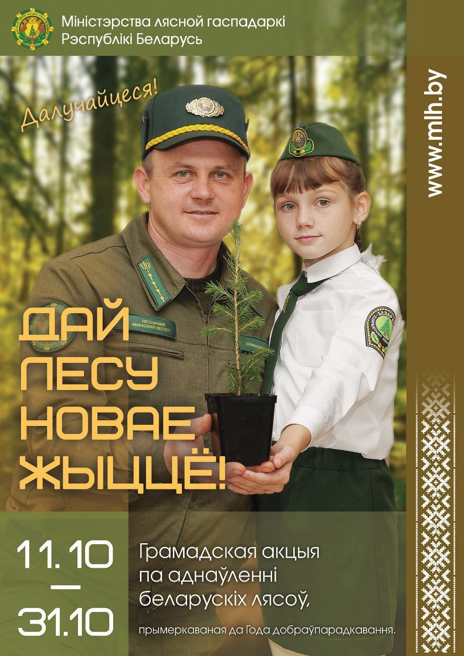 Акция «Дай лесу новае жыццё!» пройдет в Беларуси с 11 по 31 октября 2025