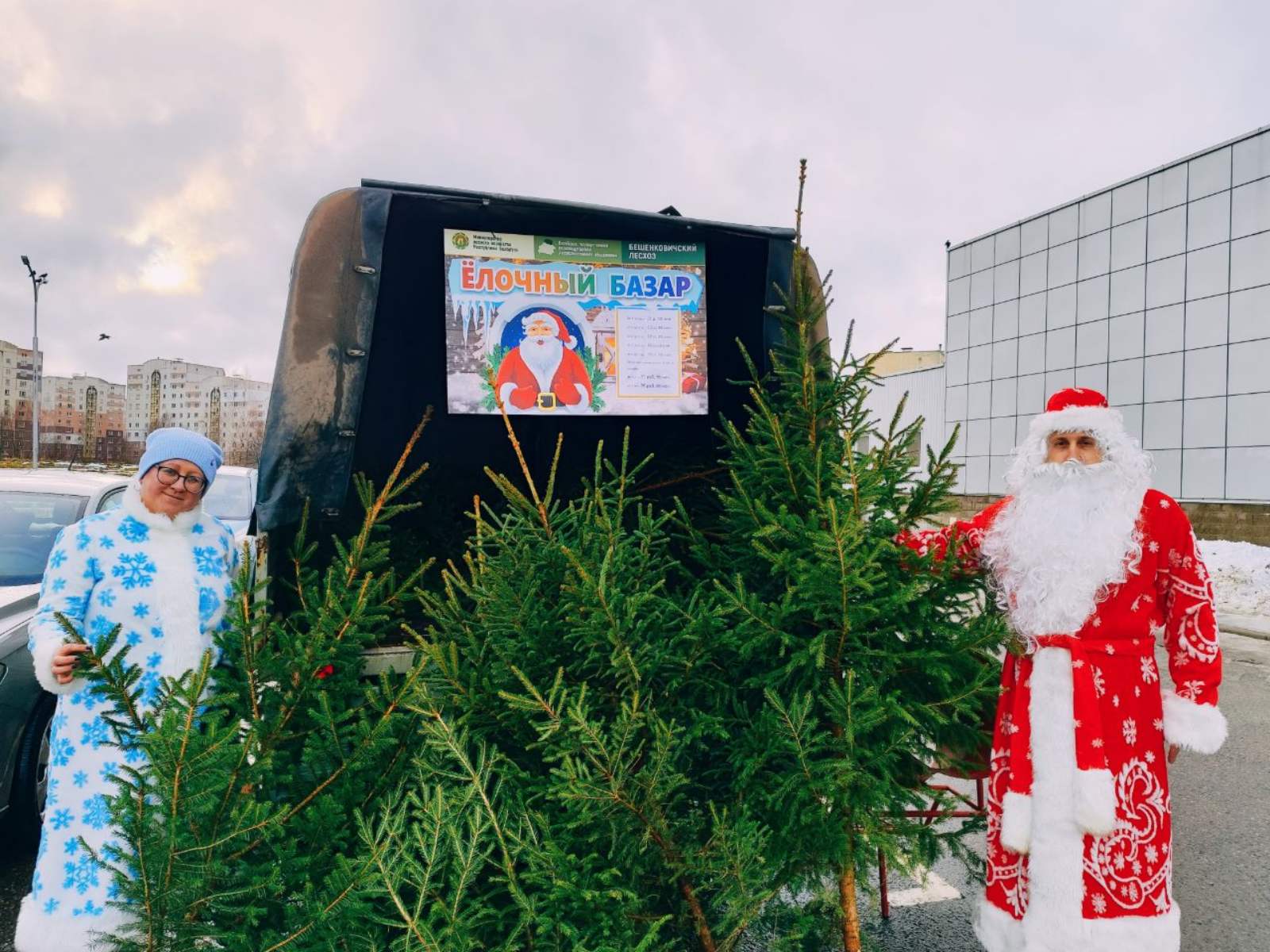 Пора за хвоей ароматной