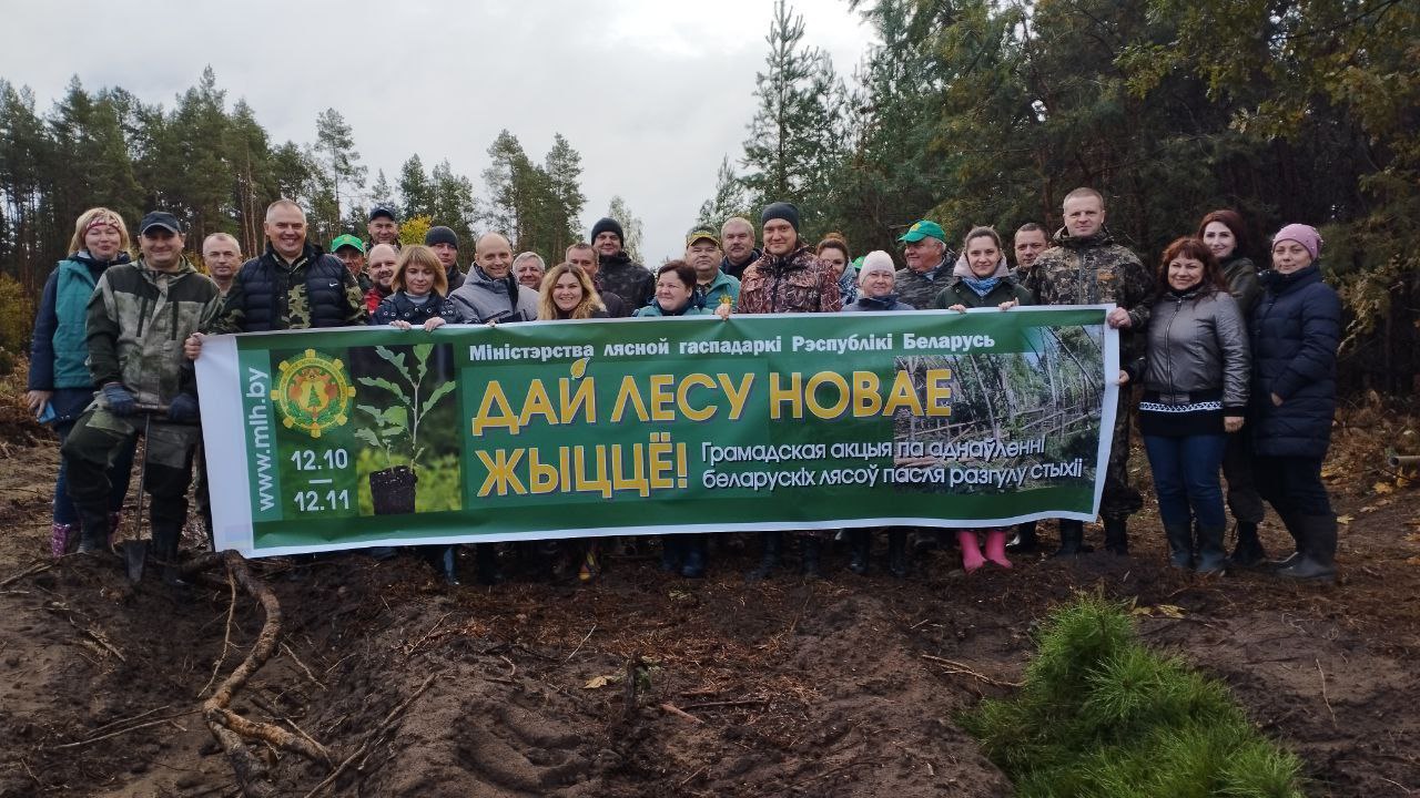 «Дай лесу новае жыццё!»  