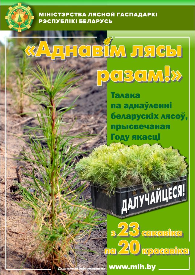 Аднавiм лясы разам 2024