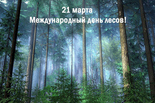 Интервью по поводу